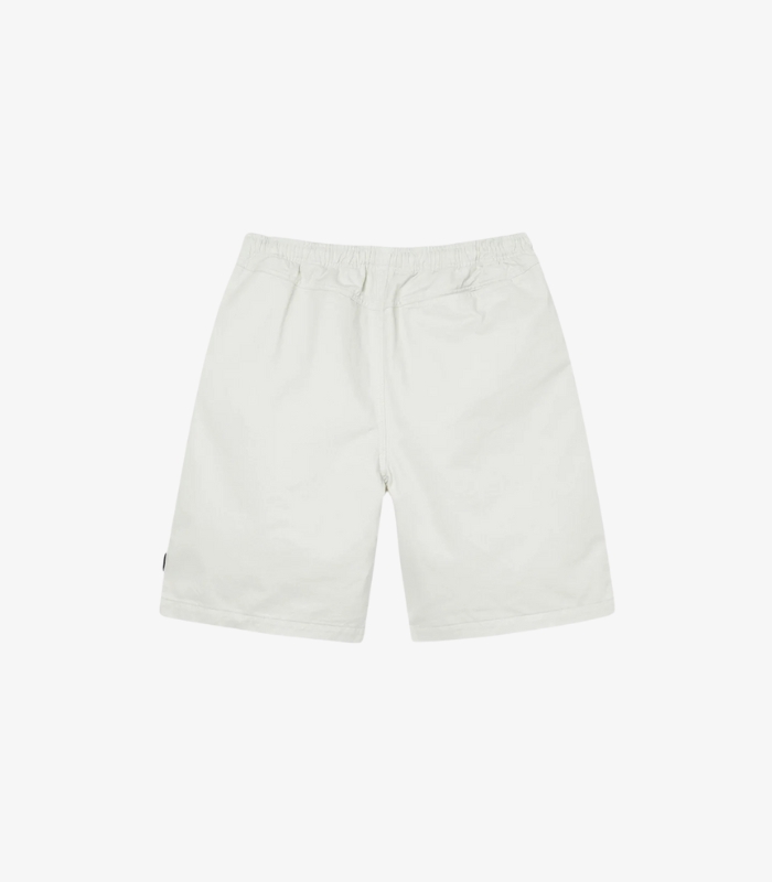 stussy beach shorts